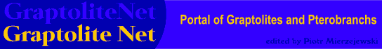 Graptolites, pterobranchs, hemochordates, rhabdopleura